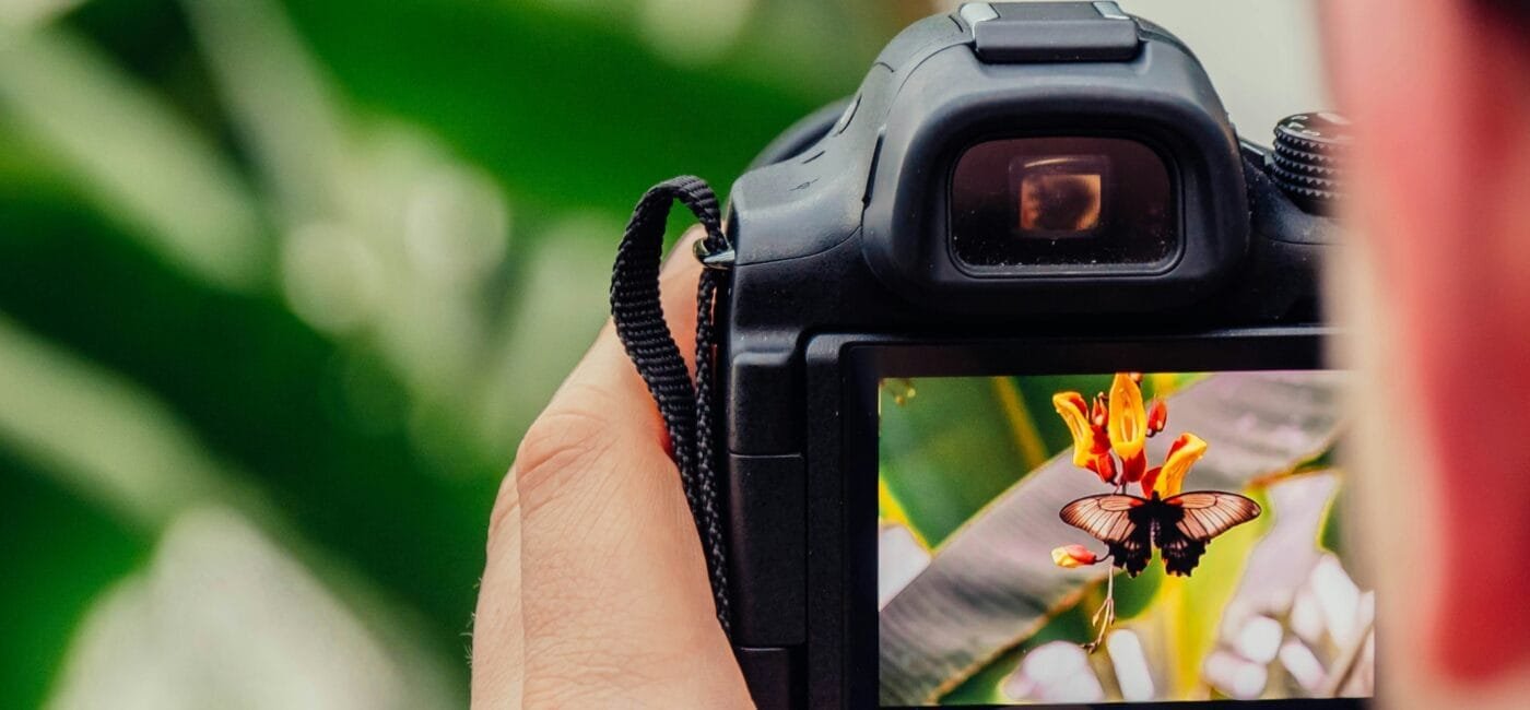 Photo by Jamie Street on Unsplash